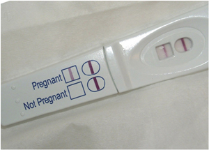 Termination-of-Pregnancy