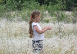 live51445_dreamstimefree_964125